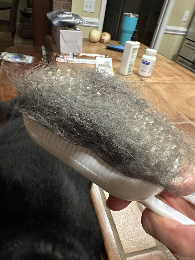 Cepillo a vapor lleno de pelo